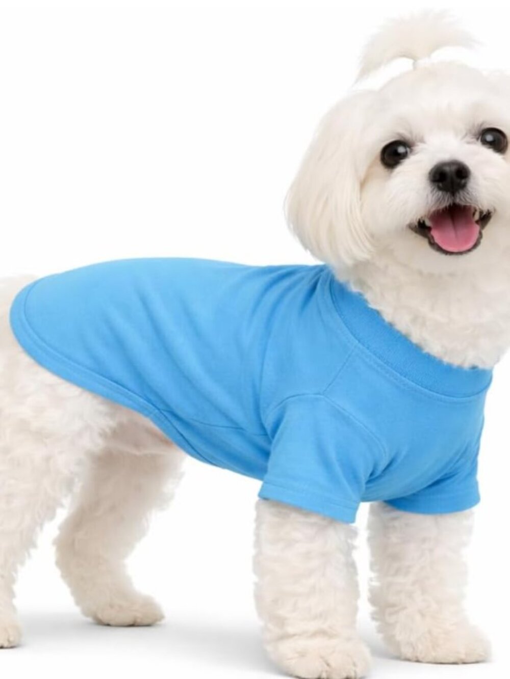 2 Short Sleeve Dog Shirts...One black, One Blue...Size XL  NWT